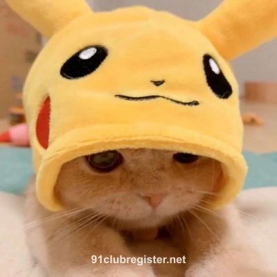 Advik's Avatar